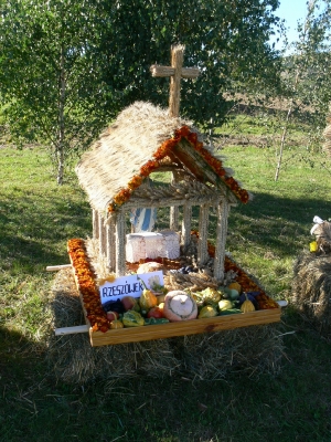 dozynki - rzasnik 2007