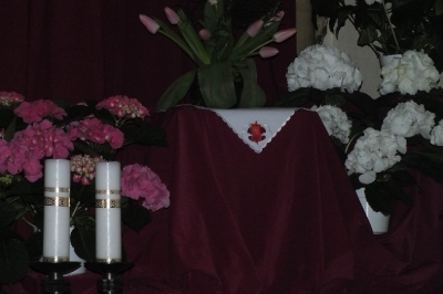Niedziela Palmowa 01.04.2012